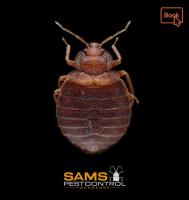 Sams Bed Bugs Control Canberra image 8